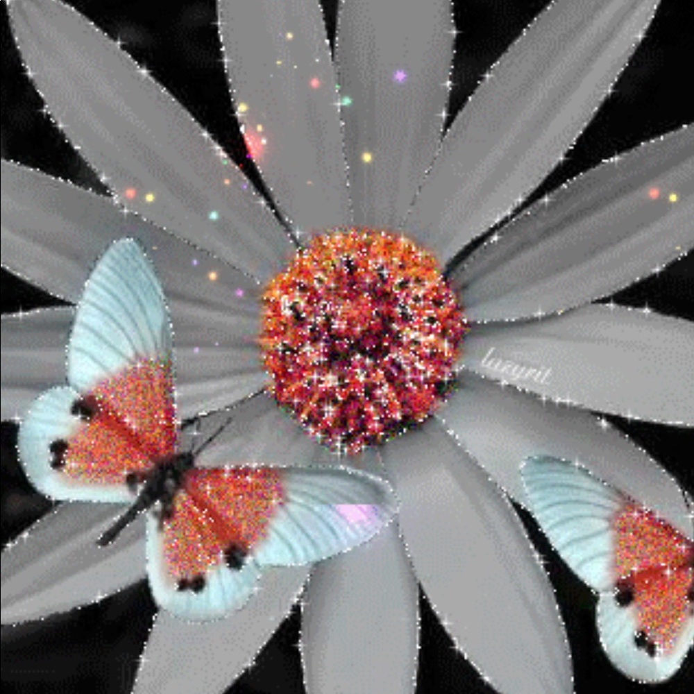 Meet your Posher, Azra